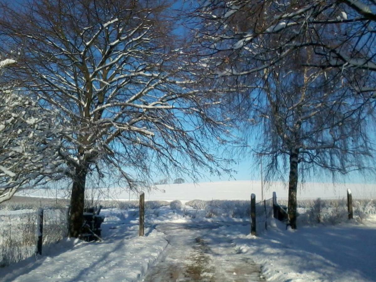 Forsthof Niendorf Apartment Teterow Bagian luar foto