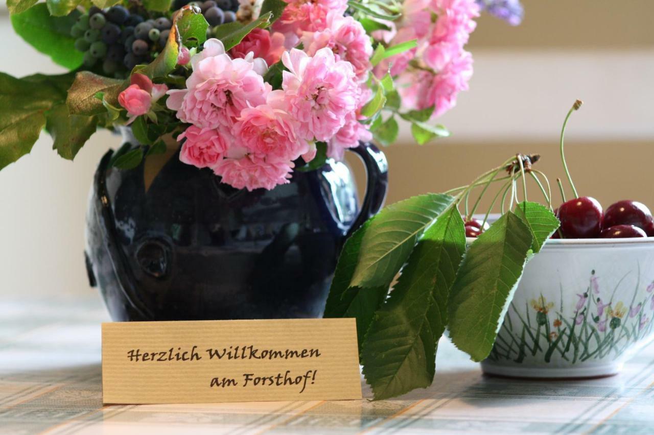 Forsthof Niendorf Apartment Teterow Bagian luar foto